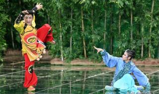 吴京甄子丹春晚同台