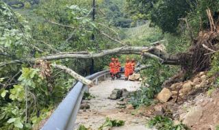 泸定地震致74人遇难