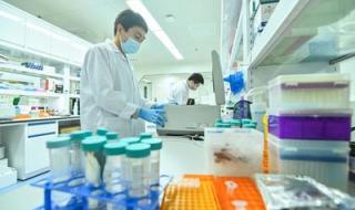 2024年9月30号上班吗