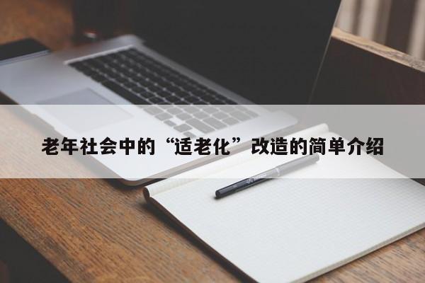 老年社会中的“适老化”改造的简单介绍